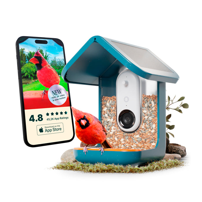 Mangeoire pour oiseaux connectée intelligence artificielle caméra HD Birdbuddy - 1