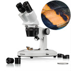 Loupe binoculaire researcher icd 20x-80x - 2