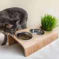 Buvo, gamelle ergonomique chat en chêne - 1