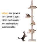 Arbre à chat 5 niveaux d'activités - 2