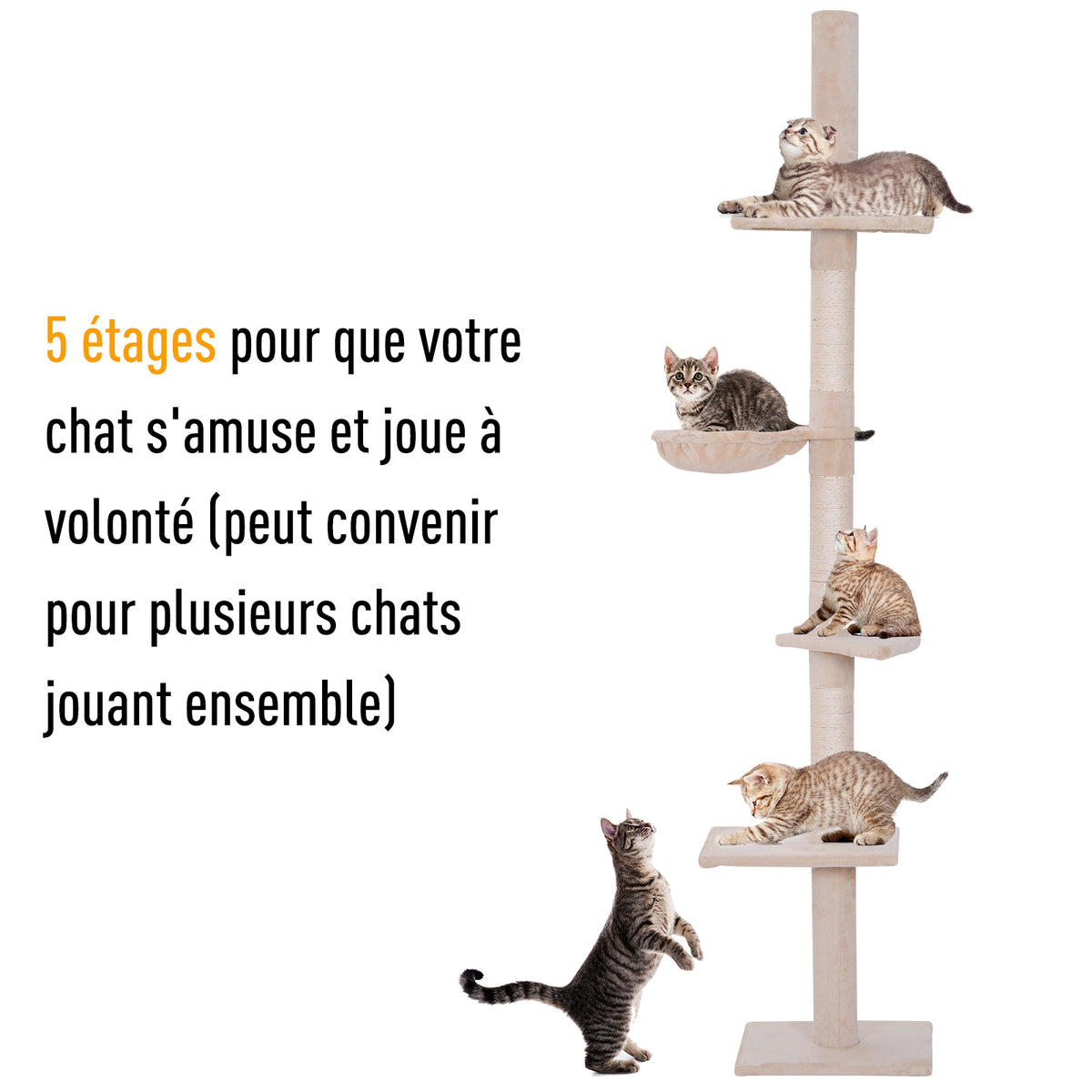 Arbre à chat 5 niveaux d'activités - 2