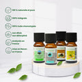 Diffuseur medusa + 4 huiles essentielles à diffuser - 1