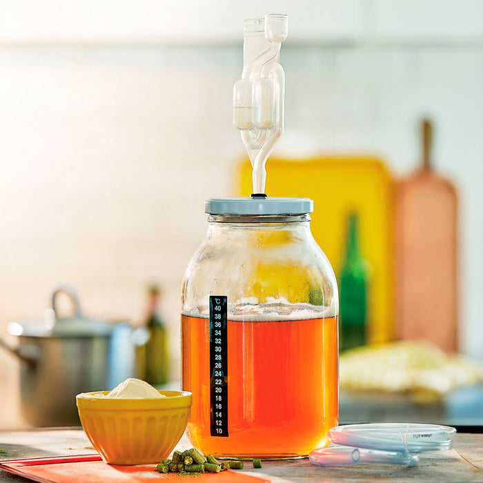 Kit de brassage bière blonde à la pêche maison 2,5 L - 2