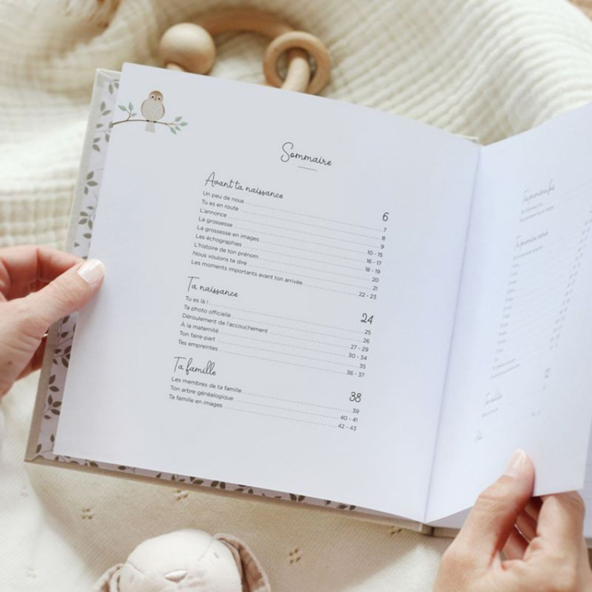 Livre souvenirs de bébé première année - 2