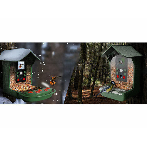 Mangeoire à oiseaux avec caméra full hd - 1