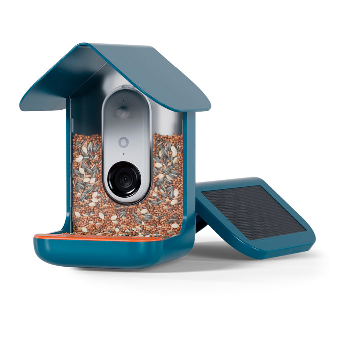 Mangeoire pour oiseaux connectée intelligence artificielle caméra HD Birdbuddy - 2